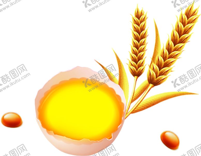 编号：21639610311911237475【酷图网】源文件下载-麦穗鸡蛋
