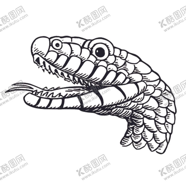 编号：50031707141627545872【酷图网】源文件下载-爬行动物线稿绘画图案