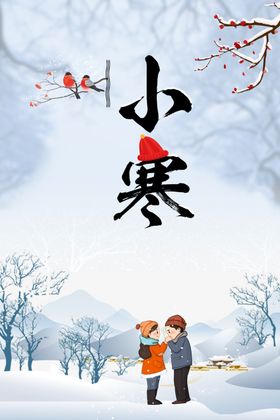 大寒小寒海报