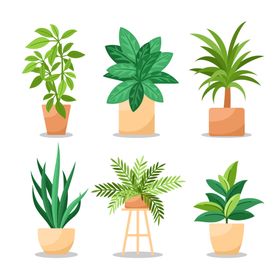 绿色植物画册