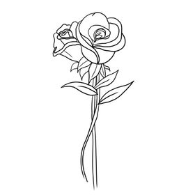 玫瑰花