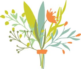 花草插画