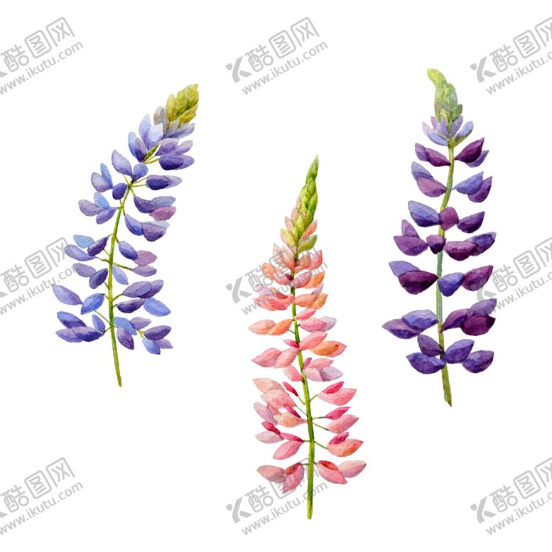 编号：18319209121951208971【酷图网】源文件下载-手绘花瓣