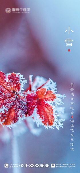 二十四节气海报 小雪海报