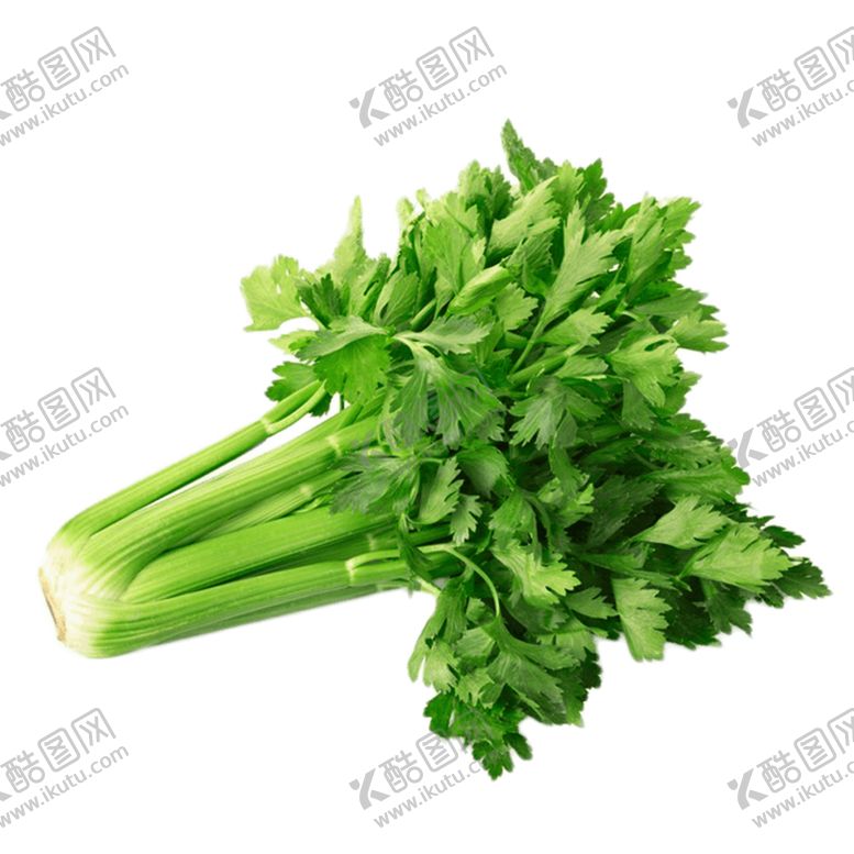 编号：61808109120827262038【酷图网】源文件下载-芹菜