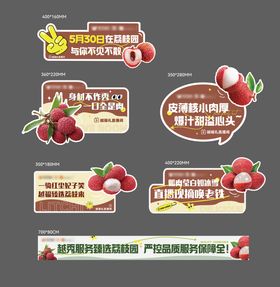 荔枝上市手举牌