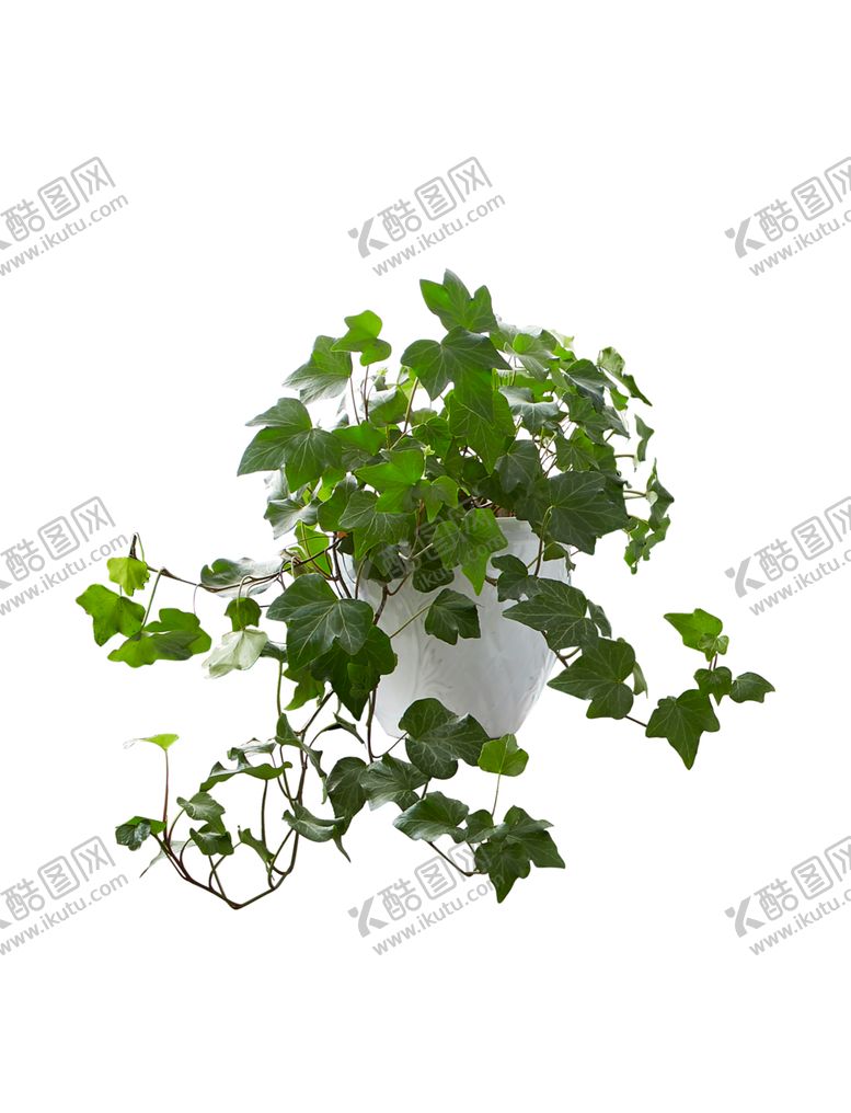 编号：14026609261426241893【酷图网】源文件下载-绿色相框