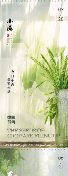 夏至立夏小满海报