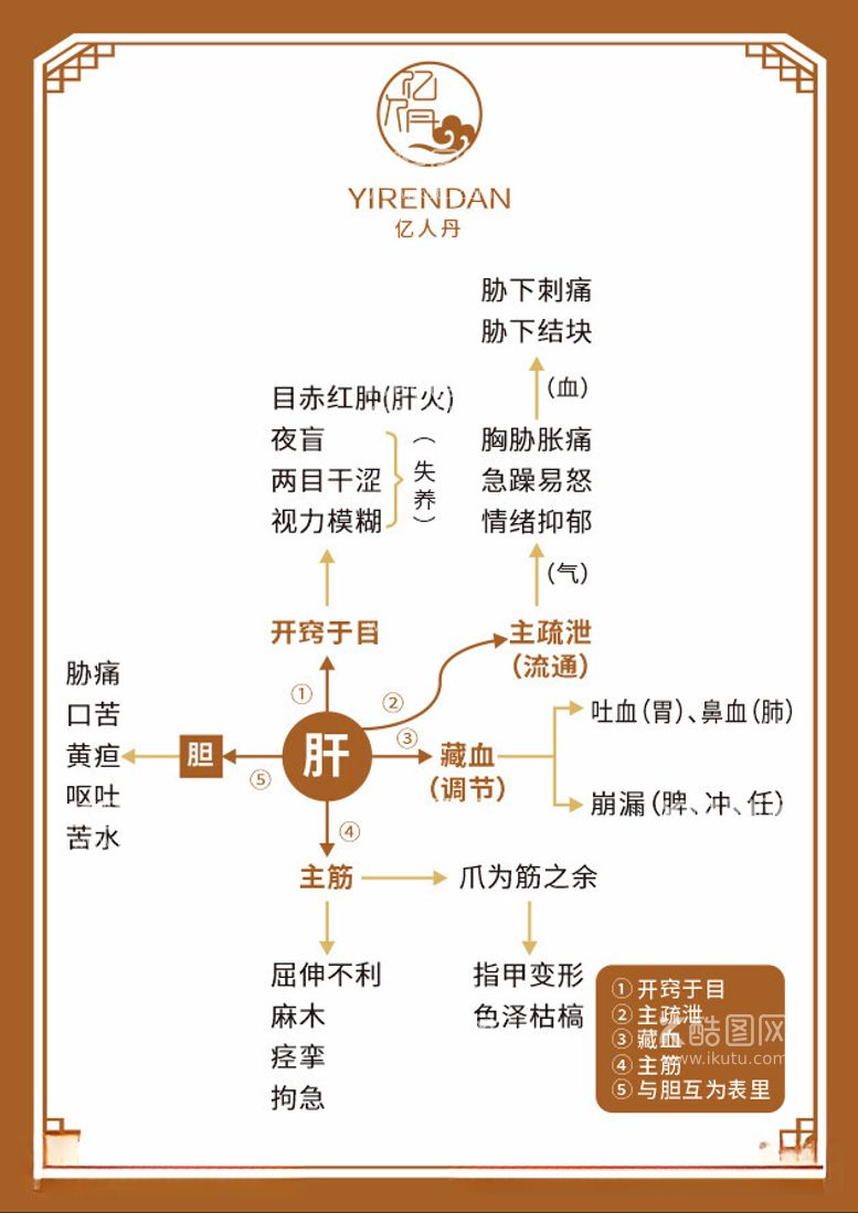 编号：41414912161236373880【酷图网】源文件下载-肝养生图