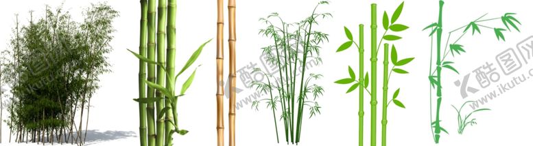 编号：31581704180254265789【酷图网】源文件下载-竹子png免扣高清素材