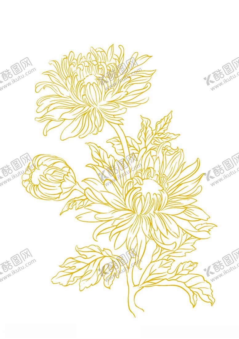 编号：15844602180419227651【酷图网】源文件下载-菊花矢量插画