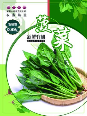 菠菜面介绍