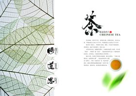 茶叶宣传画册