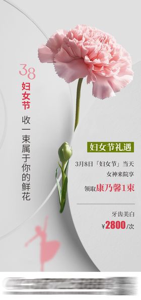 38妇女节送花活动