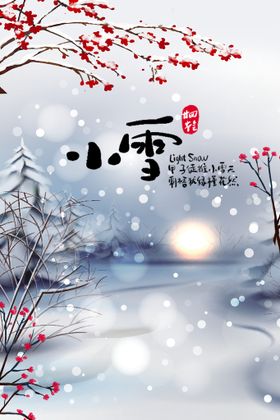 二十四节气大雪小雪海报