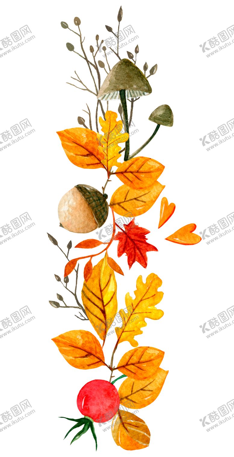 编号：53362509290626277526【酷图网】源文件下载-森系清新植物