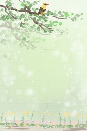 森系植物清新背景