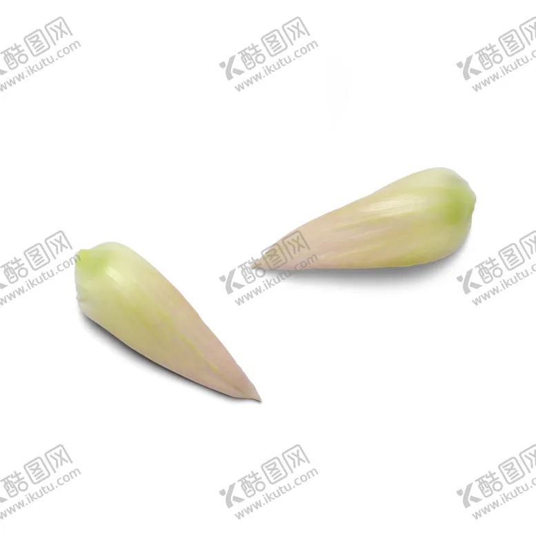 编号：28481007031842308881【酷图网】源文件下载-花瓣