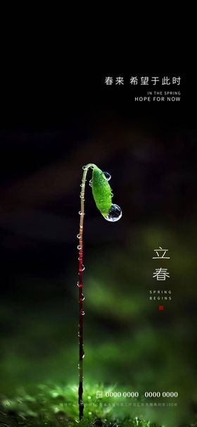 立春清明嫩芽雨水天