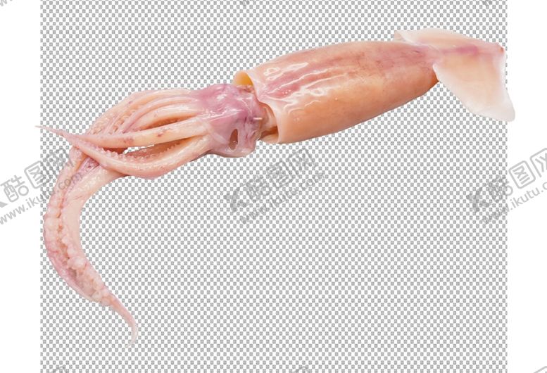 编号：26840709270848002012【酷图网】源文件下载-透明底鱿鱼