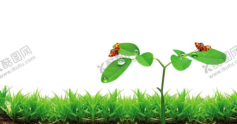 编号：73299410290729193015【酷图网】源文件下载-边框相框