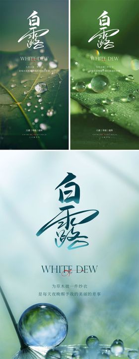 白露节气海报