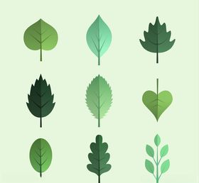 绿色树叶设计矢量素材