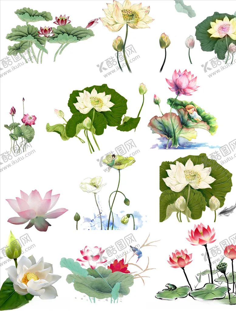 编号：70307307020931249172【酷图网】源文件下载-荷花素材