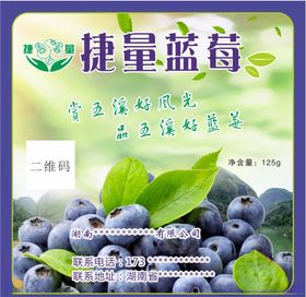 新鲜蓝莓包装标贴不干胶