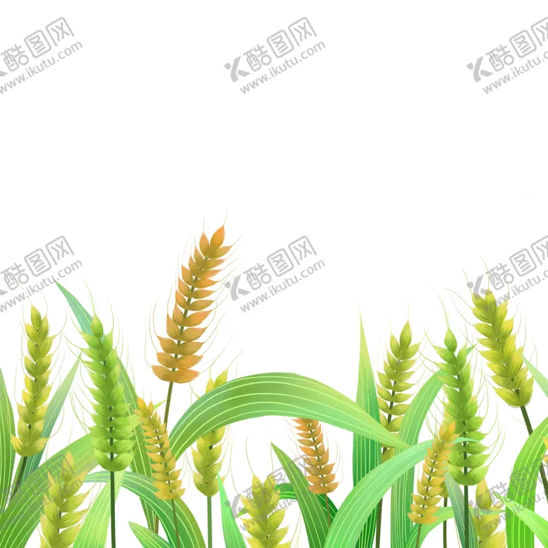 编号：13208201271902148539【酷图网】源文件下载-芒种素材