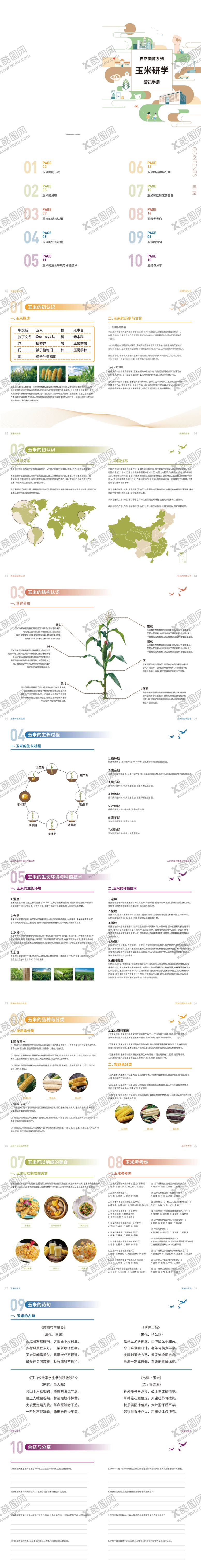 编号：32937508011533141640【酷图网】源文件下载-自然美育玉米主题研学手册