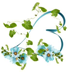 绿色边框