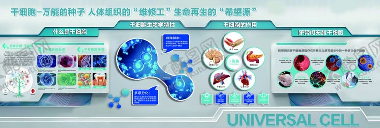 编号：82363104051003248398【酷图网】源文件下载-干细胞文化墙