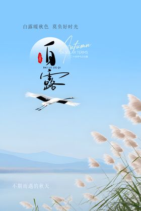 中国风白露海报传统24节气白露