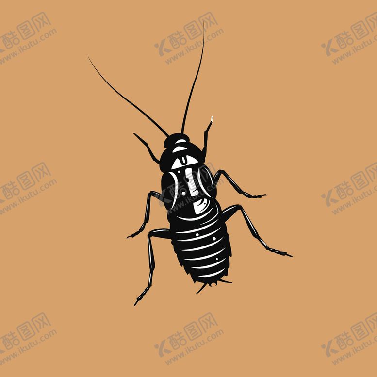 编号：59401309290926406127【酷图网】源文件下载-动物  