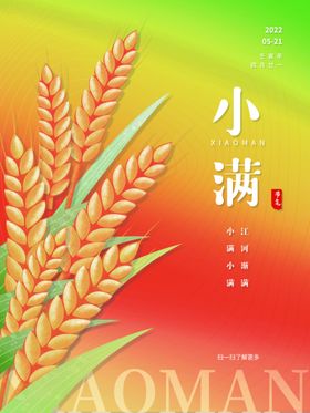 小满金属麦子地产节气单图微信海报24节气