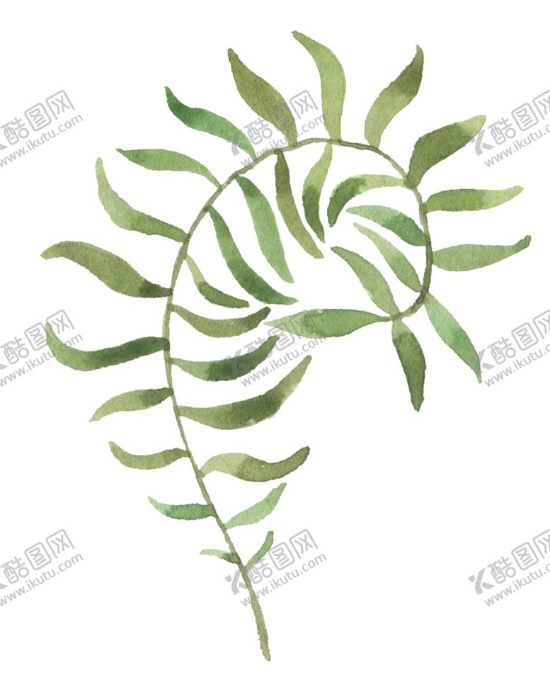 编号：50728610291629061407【酷图网】源文件下载-手绘植物花卉