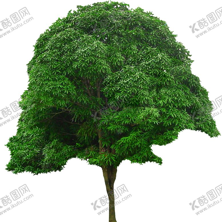 编号：54030807051935546443【酷图网】源文件下载-绿色植物