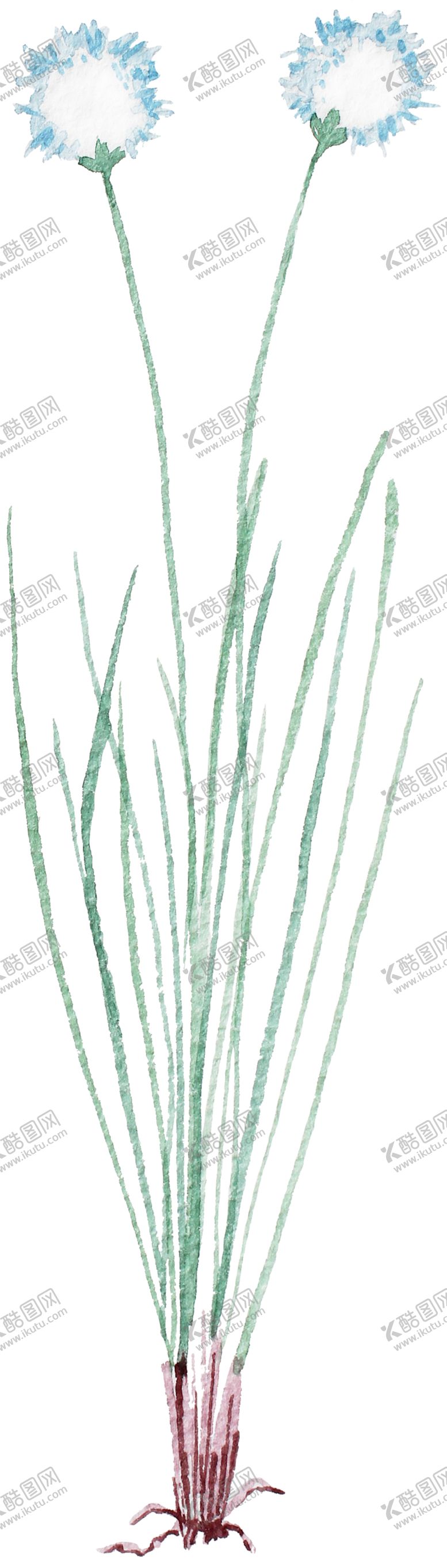 编号：51860610240355471811【酷图网】源文件下载-手绘植物
