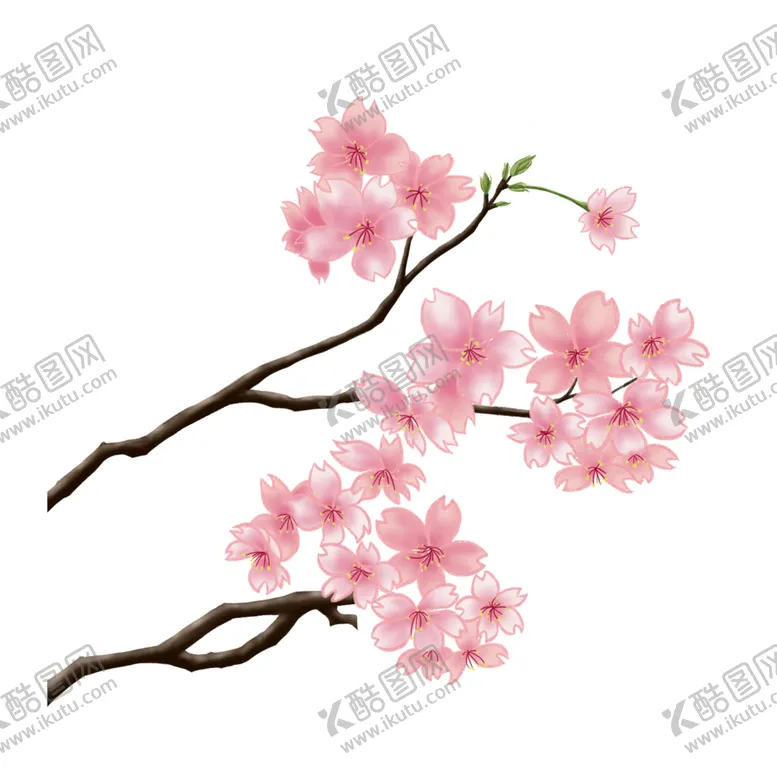 编号：70539903120436143741【酷图网】源文件下载-樱花素材