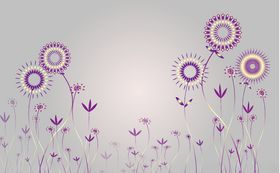 普蒲公英方框线条几何背