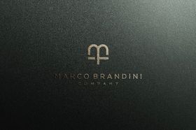 LOGO样机贴图标志贴图贴图标志