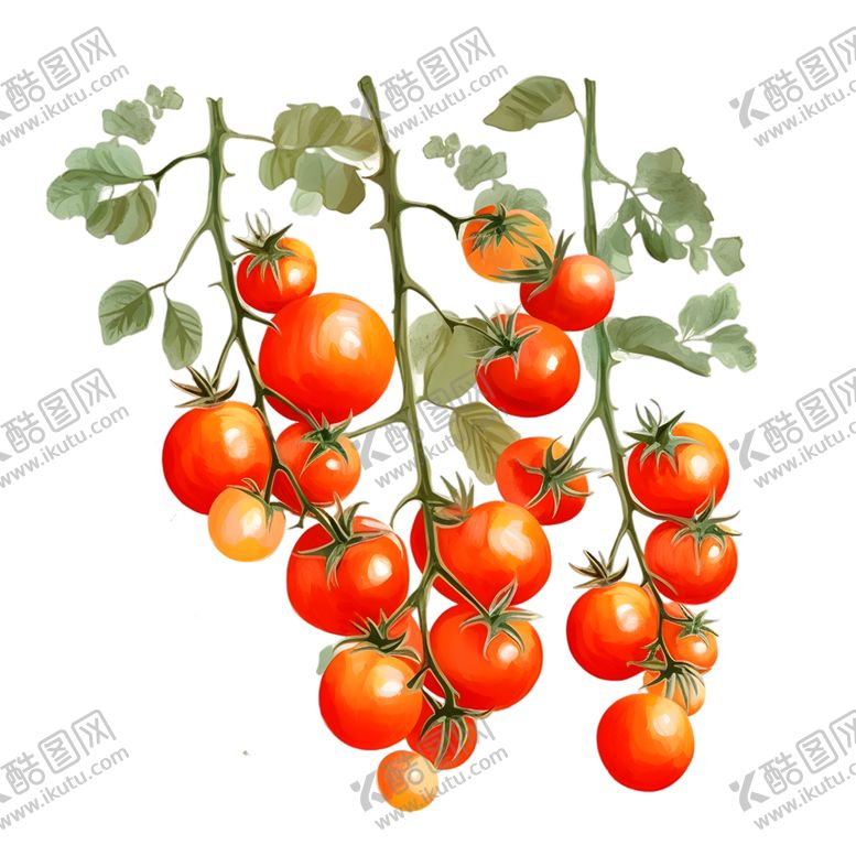 编号：93474512291742429657【酷图网】源文件下载-国画小番茄手绘西红柿