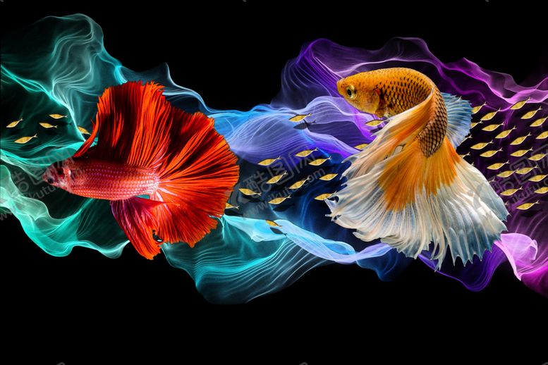 编号：22354009292311401375【酷图网】源文件下载-背景墙装饰画