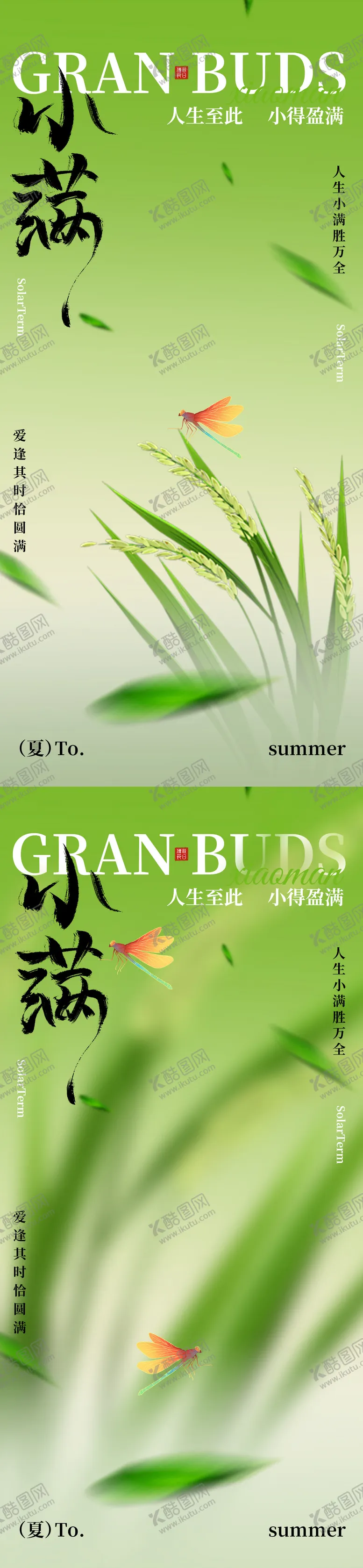 编号：62180705060216125743【酷图网】源文件下载-小满节气农田风光海报设计