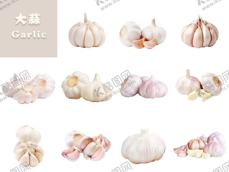 编号：23723901130816552750【酷图网】源文件下载-大蒜