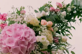 玫瑰绽放浪漫爱情花花卉
