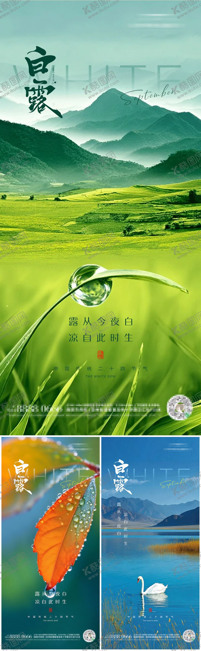 编号：82770009090405555184【酷图网】源文件下载-白露二十四节气朋友圈海报