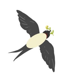 燕子插画