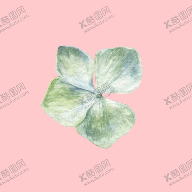 编号：67695107031232443596【酷图网】源文件下载-水彩植物